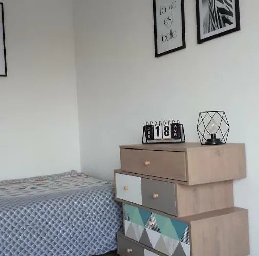 公寓 Proche Et Commerces *